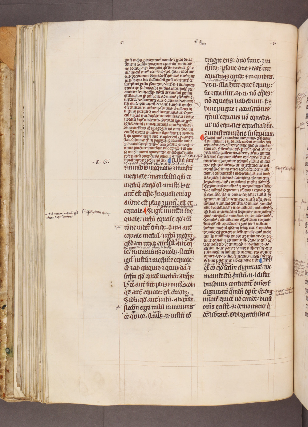 Folio 86 verso